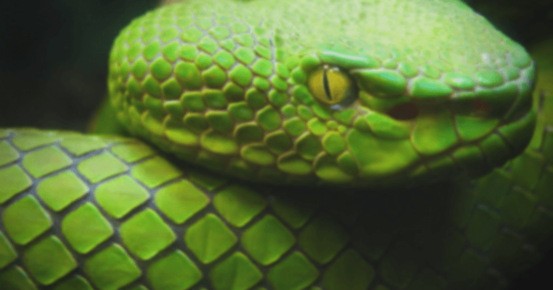 7 Python Tricks And Tips You Must Know